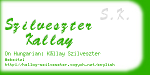 szilveszter kallay business card