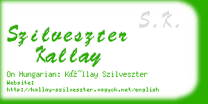 szilveszter kallay business card